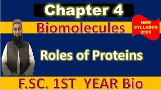 Role of Proteins | Class 11 Biology | New PTB Book 2025 | F.Sc Part 1 | National Curriculum Pakistan