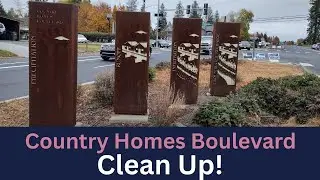 Country Homes Boulevard Clean Up! Fall 2024