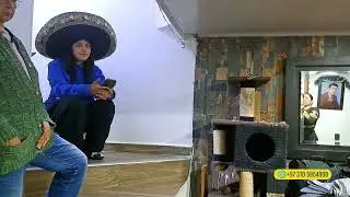 Mariachi Juvenil Primera Clase Karol 24223 29 diciembre  Mariachis Bogot&aacute;
