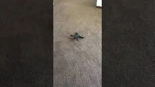 Eachine E58 Drone Quadcopter