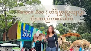 မရောက်တာကြာပြီဖြစ်တဲ့ရန်ကုန်တိရိစ္ဆာန်ဥယျာဥ် ( Yangon Zoo ) ✨✨✨