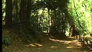 Redwood Regional Park