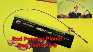 Review Rod Popping || Pioner Dog Tooth Pe 6 Dts 7'6 - 3060lb/13,6-27,3kg