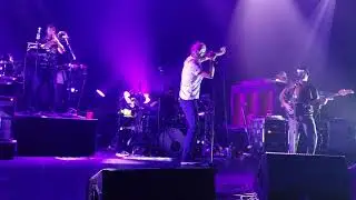 The National-Pink Rabbits