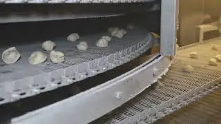 IQF blast freezer for dumpling gyoza spiral quick freeezer tunnel freezing machine Russian factory