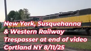 NY Susquehanna & Western Railway & Trespasser