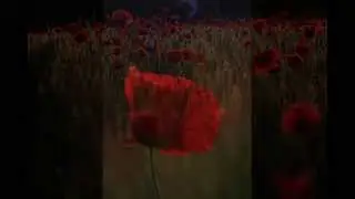 sentiero rosso proshow youtube.avi