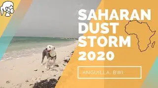 Saharan dust storm 2020 in Anguilla - (CRAZY SKY)