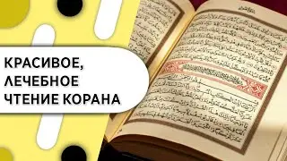 Красивое лечебное чтение Корана.