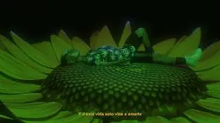 BRAZALETE🌻 - NAIQUIS [VIDEO]
