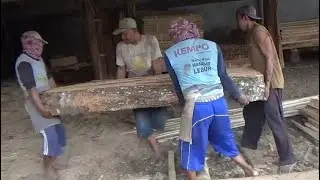 Лесопилка, смоляное дерево