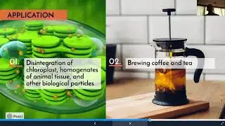 ECH3201 Biochemical Engineering Assignment- Cell Disruption Method (G1)