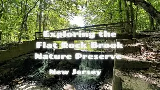Exploring the Flat Rock Brook Nature Preserve in New Jersey | Hiking | Trail Running