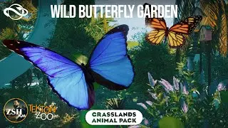 Wild Butterfly Garden! &brvbar; Tekton Zoo &brvbar; Planet Zoo Franchise Mode &brvbar; ep. 51