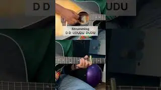 Husn - anuv jain Guitar chords & strumming