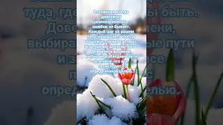 ,#shurts ,#рек ,#рекомендации ,#сильныесловасосмыслом ,#топ ,#пожеланиедлядрузей ,#цитатыпрожизнь