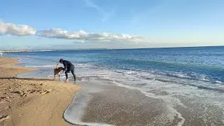 2 Minutes of Ocean Waves & Wind at Mallorca Beach 🌊 No Talking, Just Nature