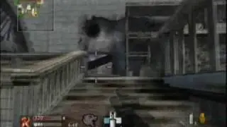 COD5Wii Team Deathmatch 1 (Dome | Type 100)