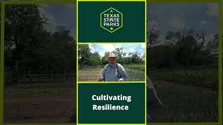 Cultivating Resilience Texas Farming in the 1900s