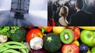 The Mediterranean Diet's Winners, Celebrities and Twitter Bots, and More: 60 Second Science Podcasts