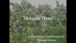The Apple Tree