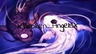 New Intro