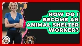 How Do I Become an Animal Shelter Worker? - Animal Care Jobs