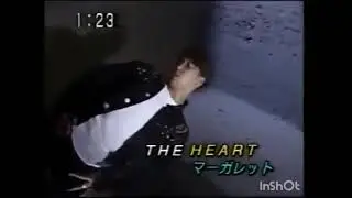 TSK 1979 - 1993