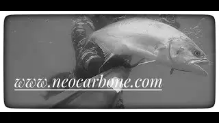 Spearfishing Croatia - Neo Carbone - 