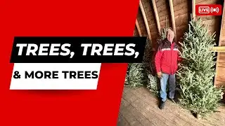 Get Your Favorite Christmas Tree at Richardson's Christmas Tree Farm!