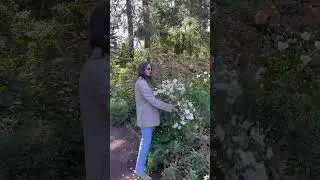 Walking in flower garden, Princeton, NJ
