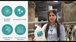 How a dairy farming duo are raising the bar on youngstock performance!