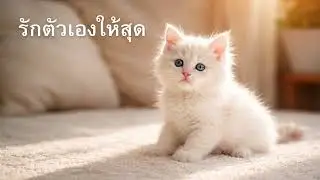 รักตัวเองให้สุด | เพลงเหงา เพลงอกหัก