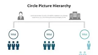 Icon Organization Chart Animated Slides