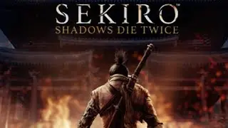 【深夜少しだけ】SEKIRO　ﾗｲｼﾞﾝｸﾞ黒田🥷外伝