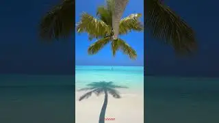 Tropical oasis | Relaxing beach scene 🌴☘️ #nature #travel #viral