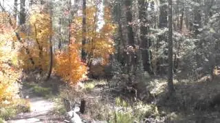 Marshal Gulch long version