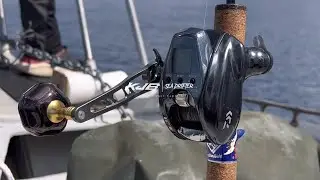 E-JIGGING | Daiwa Seaborg 300GL