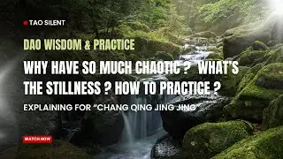 The Dao Within : Why have so much chaotic ?  What&rsquo;s the Stillness ? How to Practice ? 