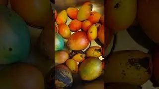 I love #mangoes #coworkers #neighbors #thankyou #youtube