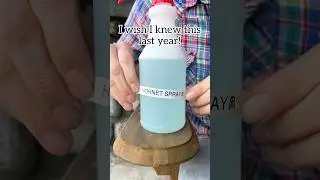 Easy DIY spray to keep hornets and wasps away! #hornet #pestcontrol #hometips #spring