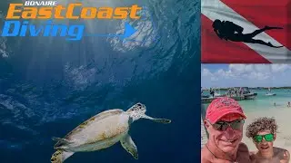 Bonaire East Coast Diving