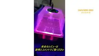 レビューYAUNGEL シードトレイ 10パック 120セル プロパゲーター 高め蓋付き 厚みのある苗スターター栽培トレイ 調節可能な窓付き 温室&庭用 ブラック