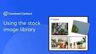 Using the stock image library | Constant Contact