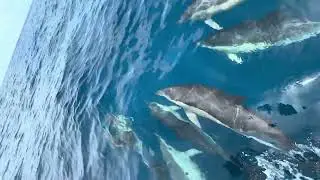 Atlantic crossing