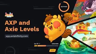 Axie Experience Points (AXP) and Levels [Overview]