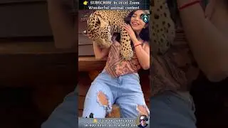 17 UNSEEN Animal Moments You MUST See! 👀⚡ WILD ZOOM  #animals #animalclips  #wildlife