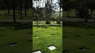 Qu&iacute;ntuple perpetuo Campo Fe