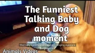 The Funniest Talking Baby and Dog moment, Animals Videos😍