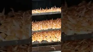 Here chicky chicky chicky 🔥🔥🔥 #braai #bbq #braaivibes #wings #funny #lol